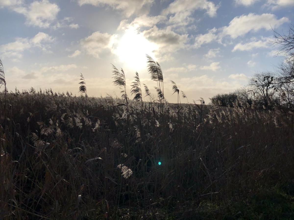Refugium Raabenhorst Im Landhaus Am Haff Stolpe auf Usedom Buitenkant foto